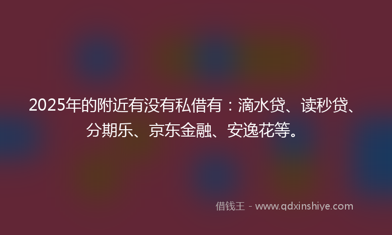 2025年的附近有没有私借有：滴水贷、读秒贷、分期乐、京东金融、安逸花等。
