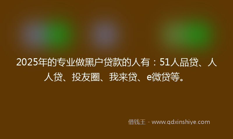 2025年的专业做黑户贷款的人有：51人品贷、人人贷、投友圈、我来贷、e微贷等。