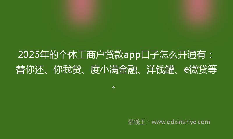 2025年的个体工商户贷款app口子怎么开通有：替你还、你我贷、度小满金融、洋钱罐、e微贷等。