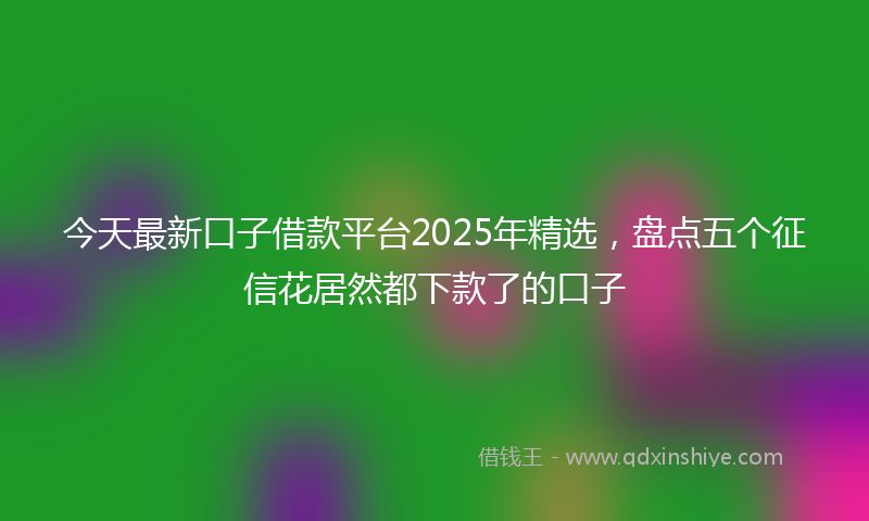 今天最新口子借款平台2025年精选，盘点五个征信花居然都下款了的口子