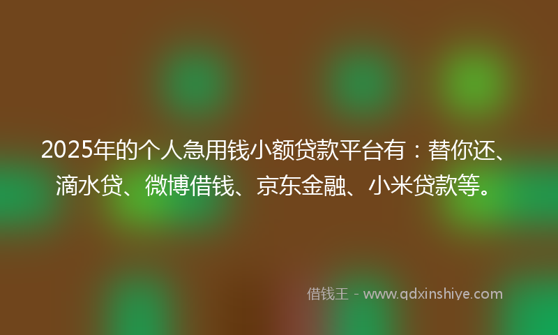 2025年的个人急用钱小额贷款平台有：替你还、滴水贷、微博借钱、京东金融、小米贷款等。