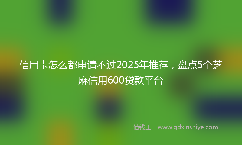 信用卡怎么都申请不过2025年推荐，盘点5个芝麻信用600贷款平台