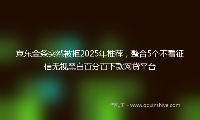 京东金条突然被拒2025年推荐，整合5个不看征信无视黑白百分百下款网贷平台
