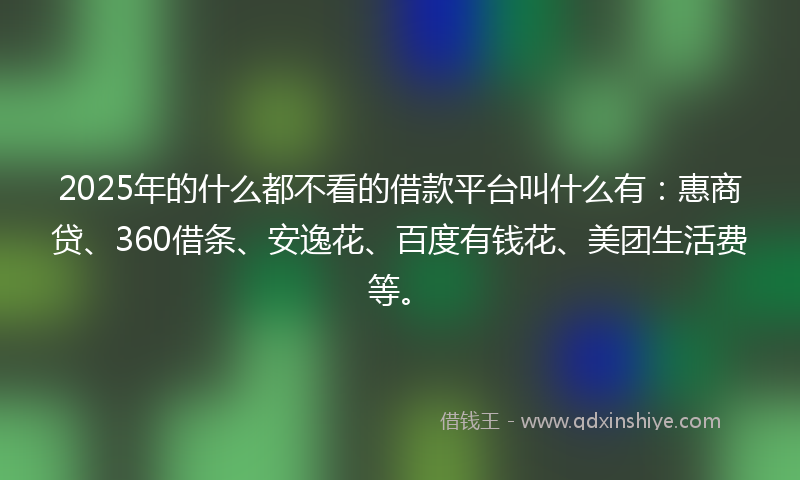2025年的什么都不看的借款平台叫什么有：惠商贷、360借条、安逸花、百度有钱花、美团生活费等。