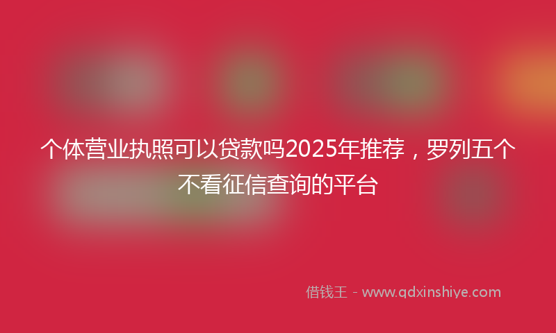 个体营业执照可以贷款吗2025年推荐，罗列五个不看征信查询的平台