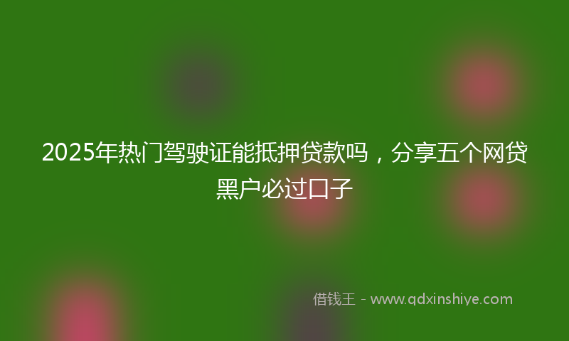 2025年热门驾驶证能抵押贷款吗，分享五个网贷黑户必过口子