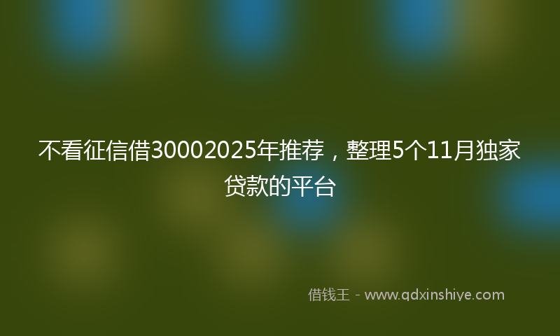 不看征信借30002025年推荐，整理5个11月独家贷款的平台