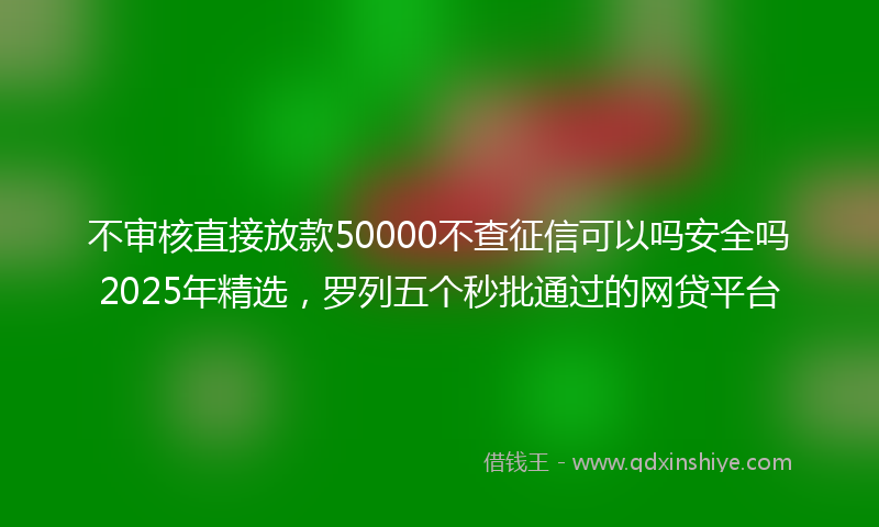 不审核直接放款50000不查征信可以吗安全吗2025年精选，罗列五个秒批通过的网贷平台