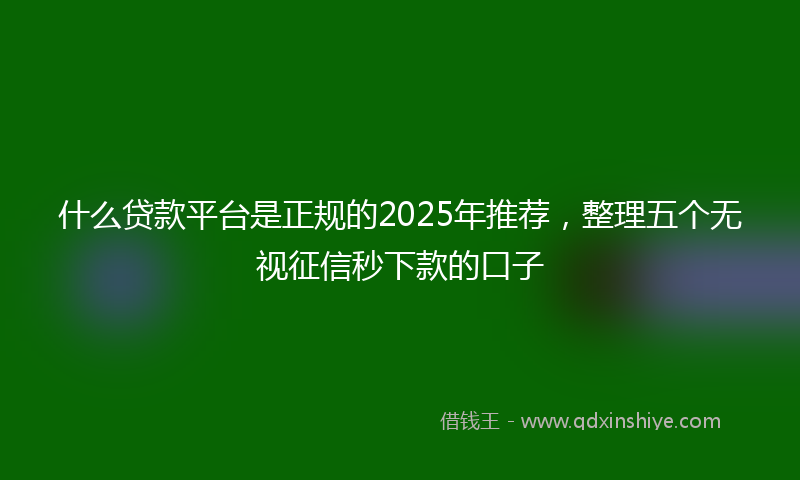 什么贷款平台是正规的2025年推荐，整理五个无视征信秒下款的口子