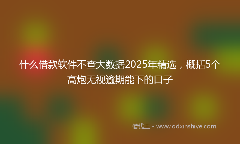 什么借款软件不查大数据2025年精选，概括5个高炮无视逾期能下的口子