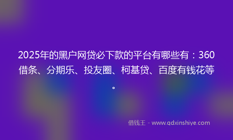 2025年的黑户网贷必下款的平台有哪些有：360借条、分期乐、投友圈、柯基贷、百度有钱花等。