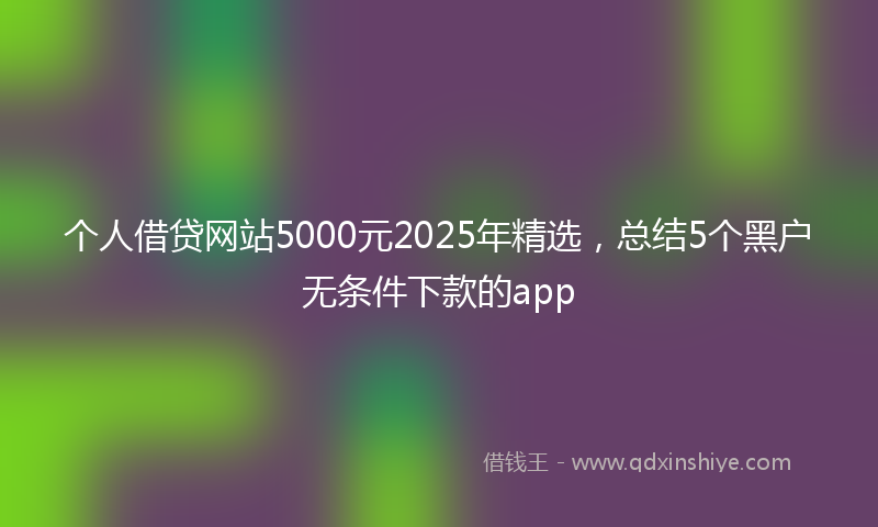 个人借贷网站5000元2025年精选，总结5个黑户无条件下款的app