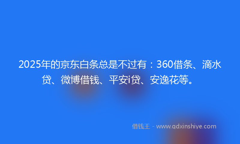 2025年的京东白条总是不过有：360借条、滴水贷、微博借钱、平安i贷、安逸花等。