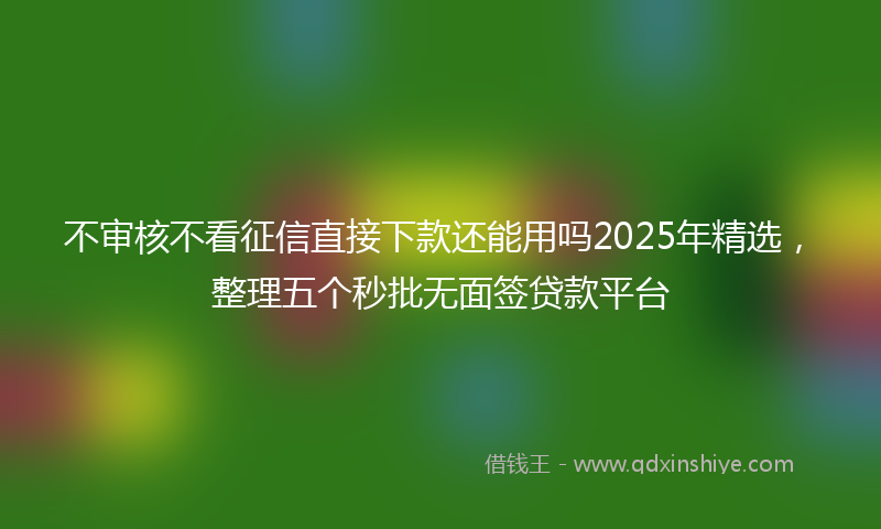 不审核不看征信直接下款还能用吗2025年精选，整理五个秒批无面签贷款平台