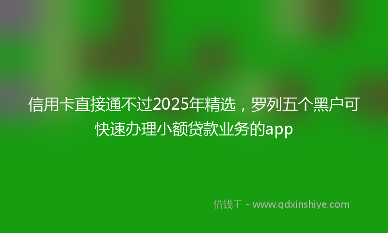 信用卡直接通不过2025年精选，罗列五个黑户可快速办理小额贷款业务的app