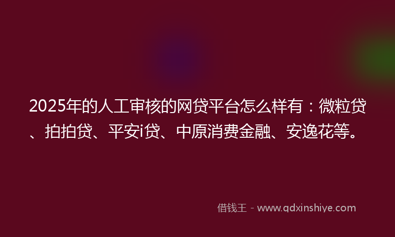 2025年的人工审核的网贷平台怎么样有：微粒贷、拍拍贷、平安i贷、中原消费金融、安逸花等。
