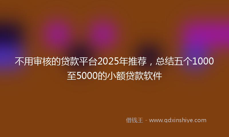 不用审核的贷款平台2025年推荐，总结五个1000至5000的小额贷款软件