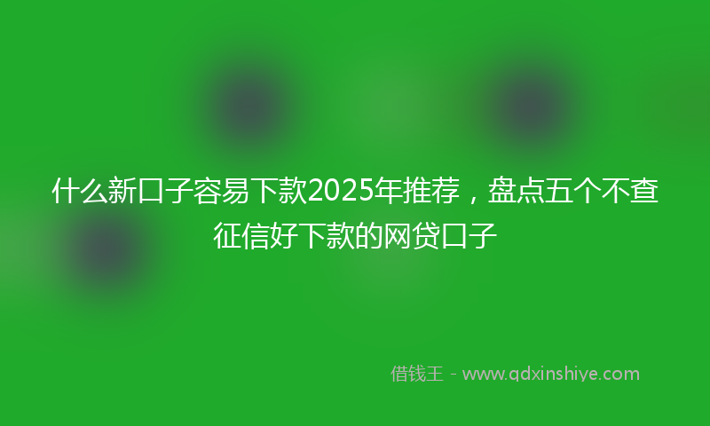 什么新口子容易下款2025年推荐，盘点五个不查征信好下款的网贷口子