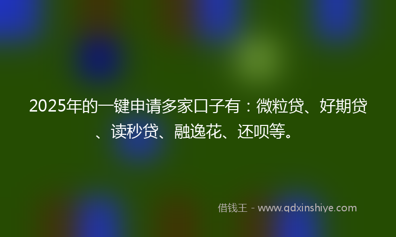 2025年的一键申请多家口子有：微粒贷、好期贷、读秒贷、融逸花、还呗等。