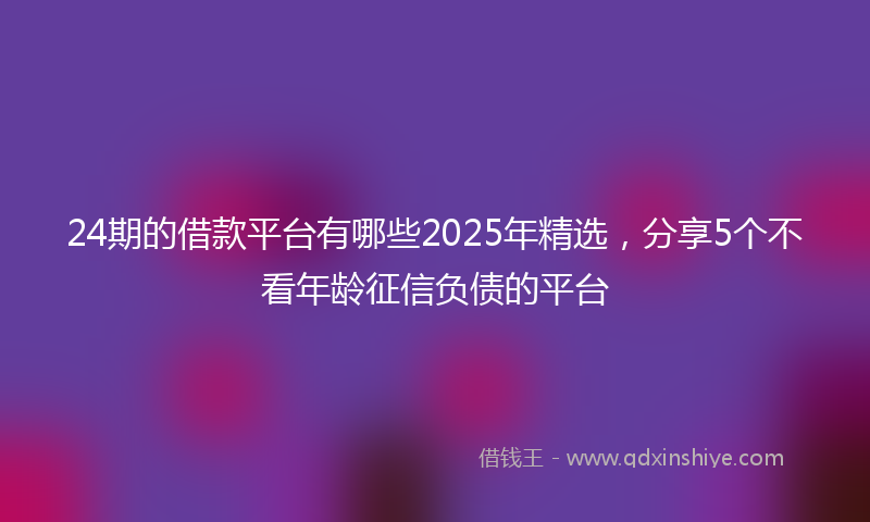 24期的借款平台有哪些2025年精选，分享5个不看年龄征信负债的平台