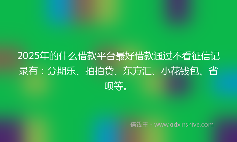 2025年的什么借款平台最好借款通过不看征信记录有：分期乐、拍拍贷、东方汇、小花钱包、省呗等。