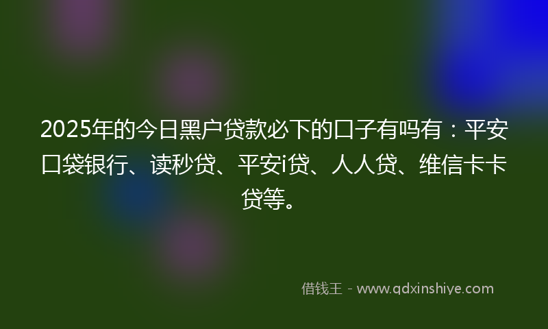 2025年的今日黑户贷款必下的口子有吗有：平安口袋银行、读秒贷、平安i贷、人人贷、维信卡卡贷等。