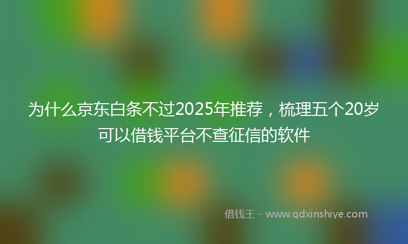 为什么京东白条不过2025年推荐，梳理五个20岁可以借钱平台不查征信的软件