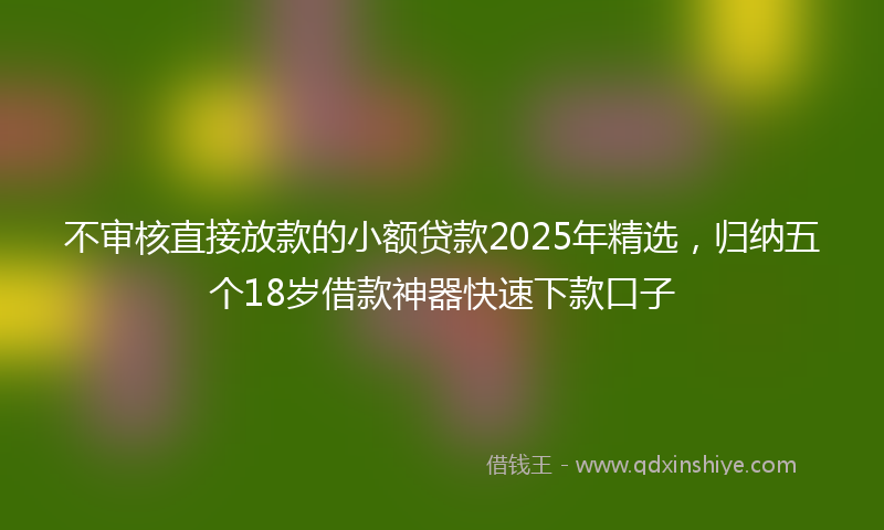 不审核直接放款的小额贷款2025年精选，归纳五个18岁借款神器快速下款口子