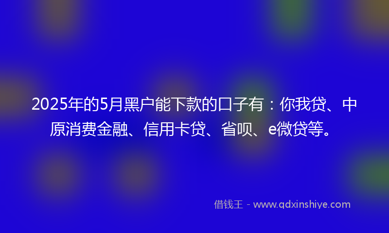 2025年的5月黑户能下款的口子有：你我贷、中原消费金融、信用卡贷、省呗、e微贷等。
