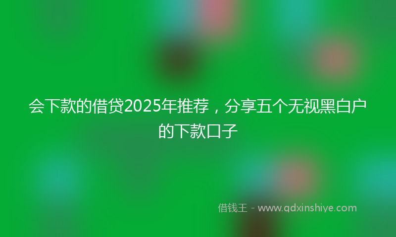 会下款的借贷2025年推荐，分享五个无视黑白户的下款口子