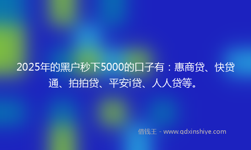 2025年的黑户秒下5000的口子有：惠商贷、快贷通、拍拍贷、平安i贷、人人贷等。