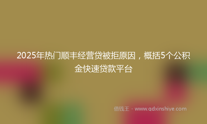 2025年热门顺丰经营贷被拒原因，概括5个公积金快速贷款平台