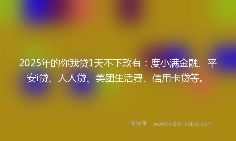 2025年的你我贷1天不下款有：度小满金融、平安i贷、人人贷、美团生活费、信用卡贷等。