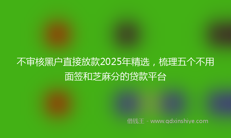 不审核黑户直接放款2025年精选，梳理五个不用面签和芝麻分的贷款平台