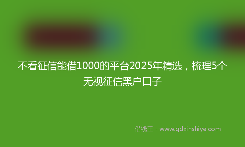 不看征信能借1000的平台2025年精选，梳理5个无视征信黑户口子