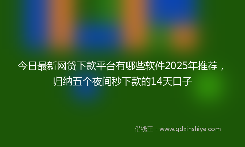 今日最新网贷下款平台有哪些软件2025年推荐，归纳五个夜间秒下款的14天口子
