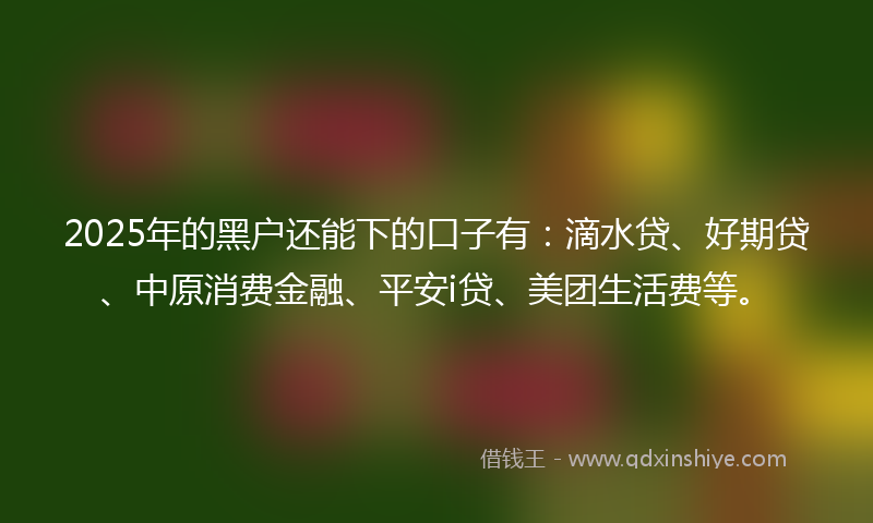 2025年的黑户还能下的口子有：滴水贷、好期贷、中原消费金融、平安i贷、美团生活费等。