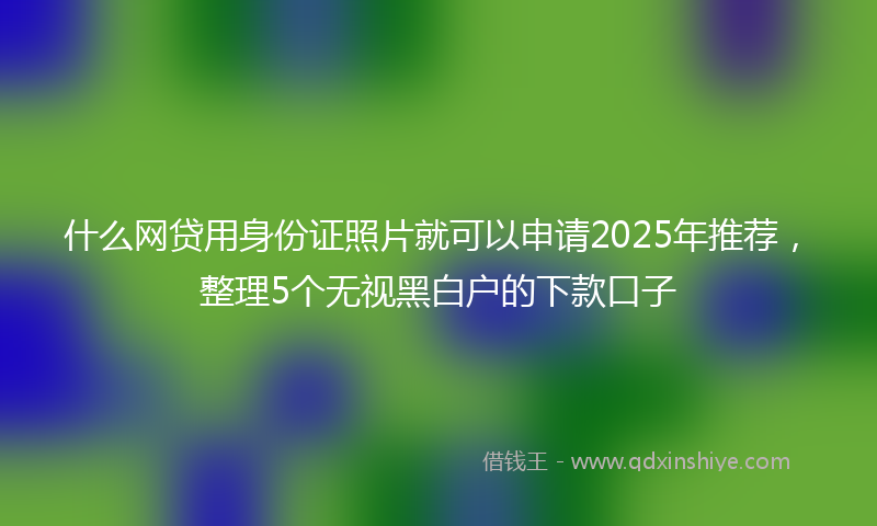什么网贷用身份证照片就可以申请2025年推荐，整理5个无视黑白户的下款口子