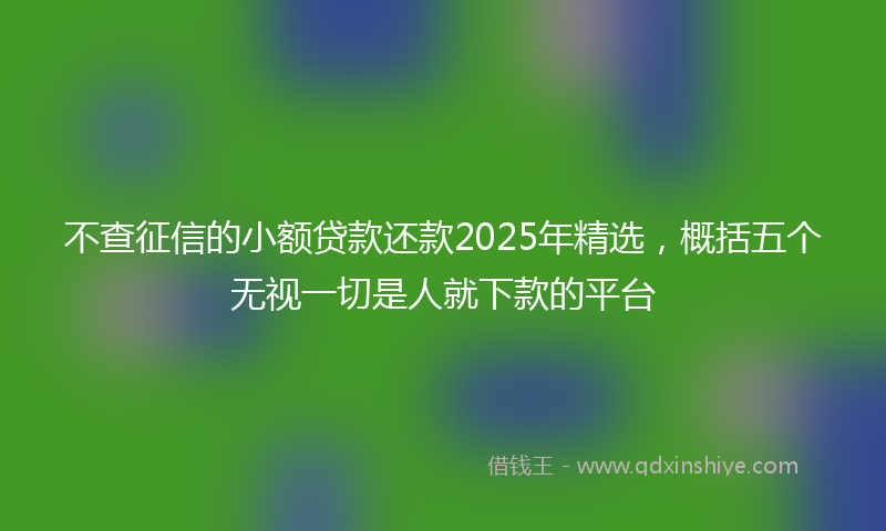 不查征信的小额贷款还款2025年精选，概括五个无视一切是人就下款的平台