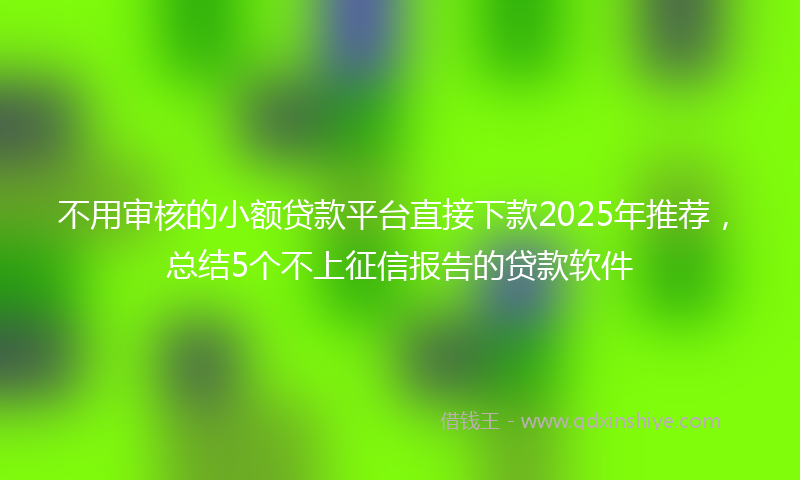 不用审核的小额贷款平台直接下款2025年推荐，总结5个不上征信报告的贷款软件