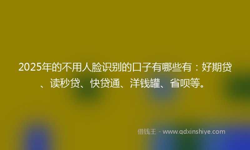 2025年的不用人脸识别的口子有哪些有：好期贷、读秒贷、快贷通、洋钱罐、省呗等。