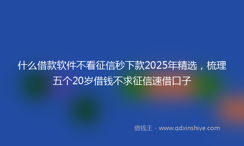 什么借款软件不看征信秒下款2025年精选，梳理五个20岁借钱不求征信速借口子