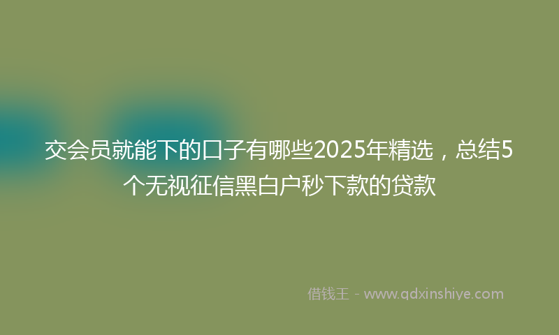 交会员就能下的口子有哪些2025年精选，总结5个无视征信黑白户秒下款的贷款