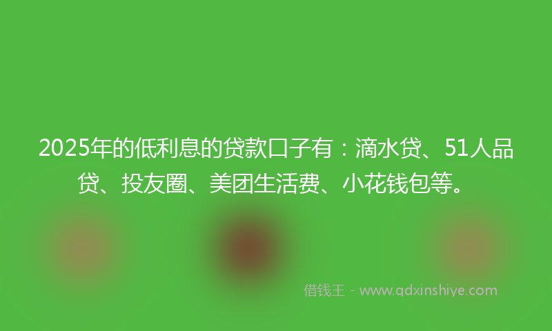 2025年的低利息的贷款口子有：滴水贷、51人品贷、投友圈、美团生活费、小花钱包等。
