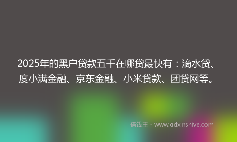 2025年的黑户贷款五千在哪贷最快有：滴水贷、度小满金融、京东金融、小米贷款、团贷网等。