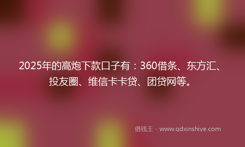 2025年的高炮下款口子有：360借条、东方汇、投友圈、维信卡卡贷、团贷网等。