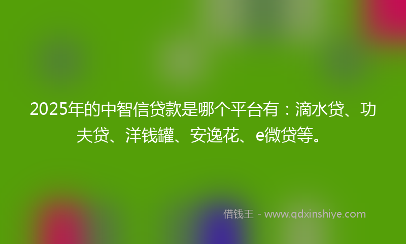 2025年的中智信贷款是哪个平台有：滴水贷、功夫贷、洋钱罐、安逸花、e微贷等。