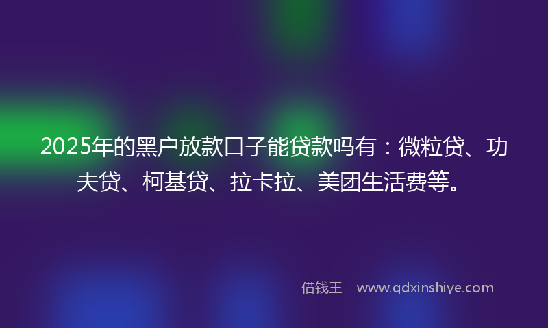 2025年的黑户放款口子能贷款吗有：微粒贷、功夫贷、柯基贷、拉卡拉、美团生活费等。