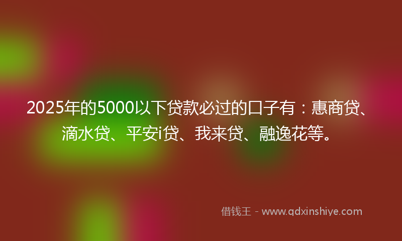 2025年的5000以下贷款必过的口子有：惠商贷、滴水贷、平安i贷、我来贷、融逸花等。