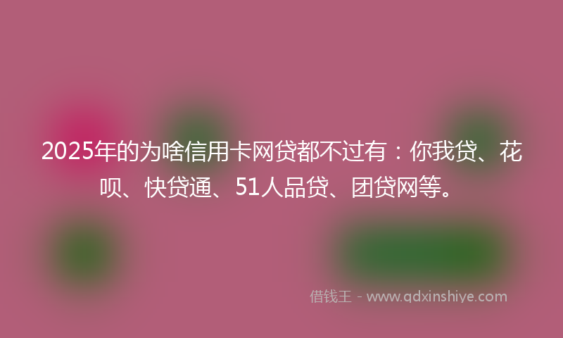 2025年的为啥信用卡网贷都不过有：你我贷、花呗、快贷通、51人品贷、团贷网等。